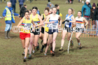 Senior women, 2020 British Athletics Inter Counties Cross Country Champs., Prestwold Hall, Loughborough. Photo: David T. Hewitson/Sports for All Pics